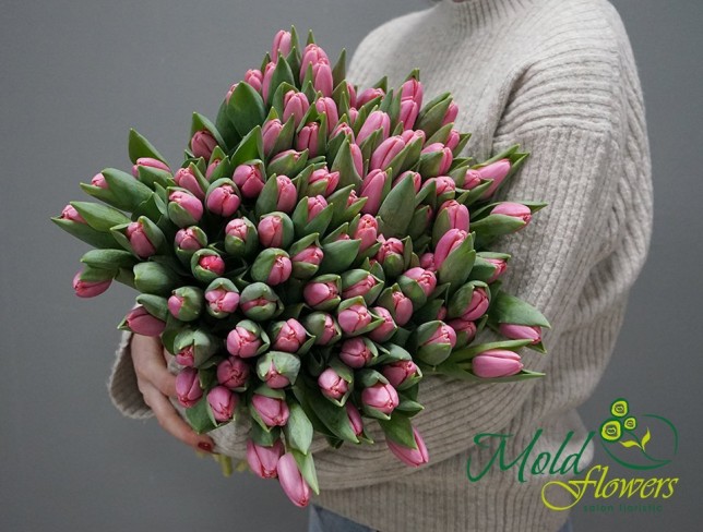 Тюльпан розовый голландский Фото
